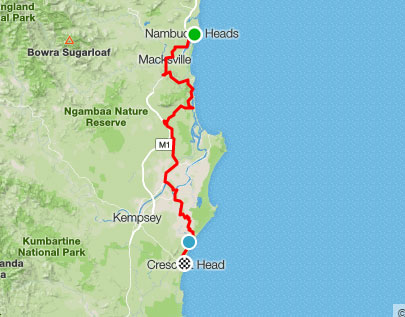 nambuccacrescenthead